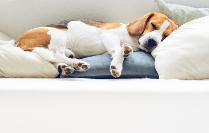 Sofá perfecto para tu hogar