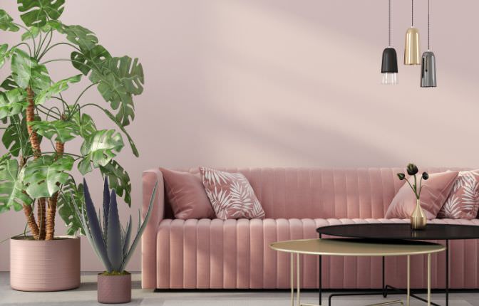 curiosidades sobre sofás