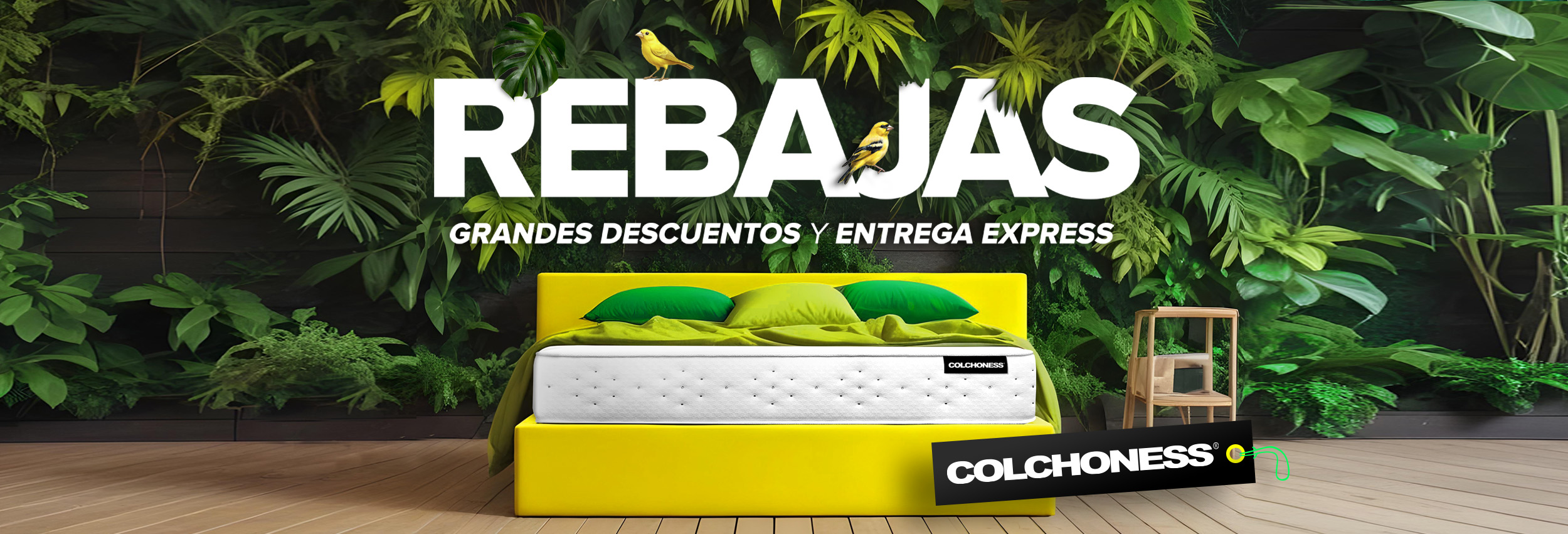 COLCHONESS REPUBLICA ARGENTINA