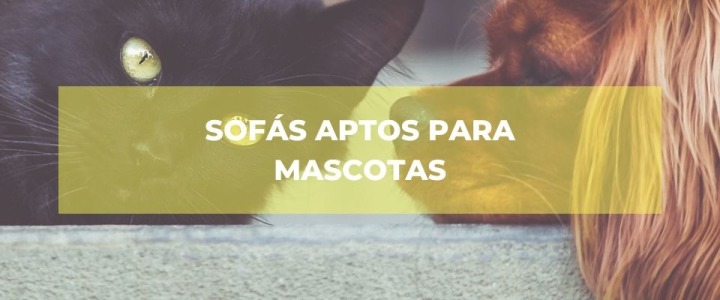 Elige el mejor sofá para convivir con tus mascotas